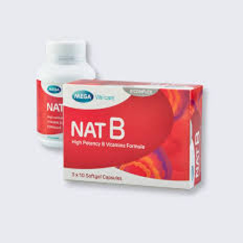 Nat B High Potency Vitamin Formula